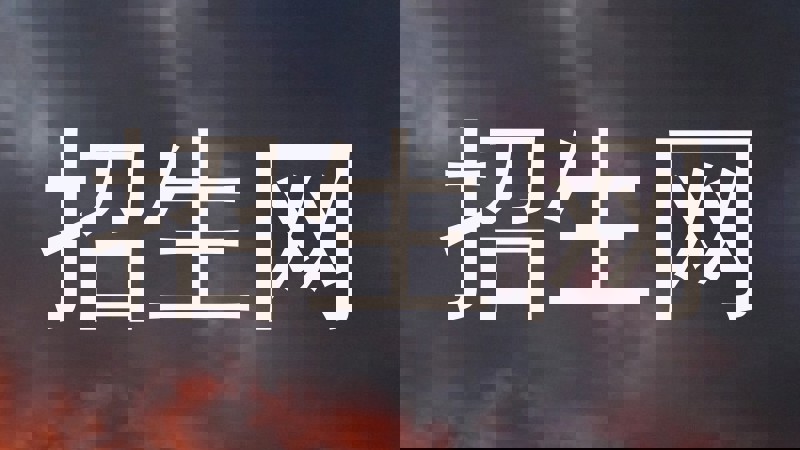 招生网