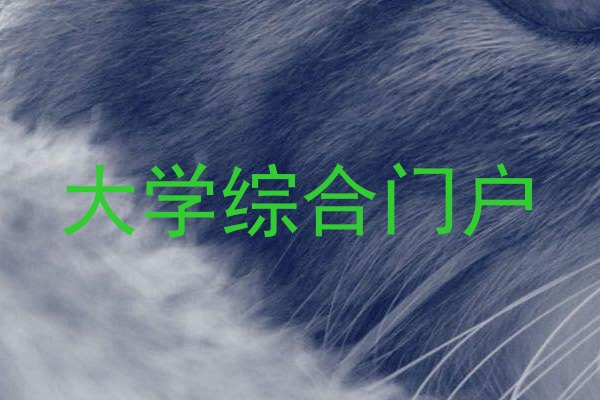 大学综合门户