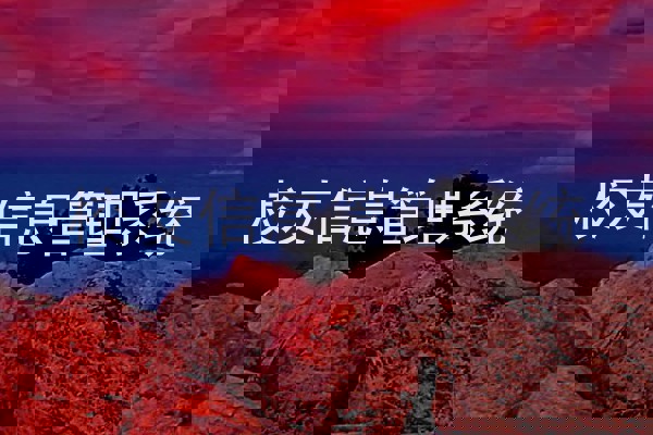校友信息管理系统