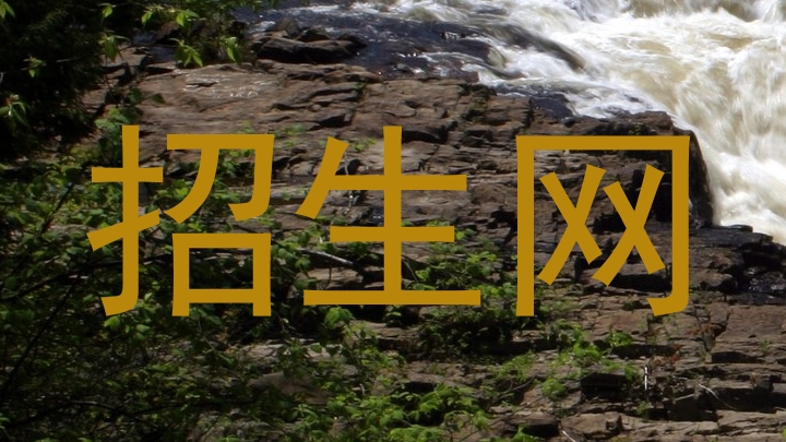 招生网