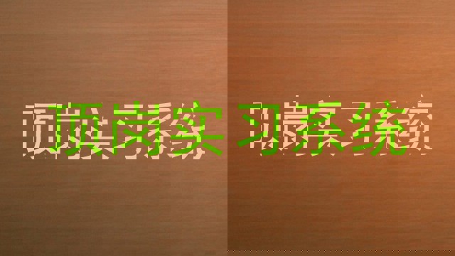 顶岗实习系统
