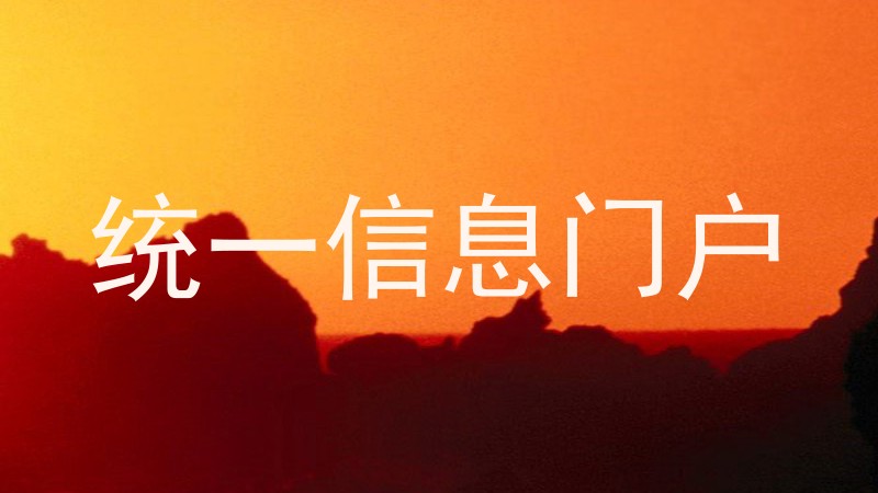 统一信息门户