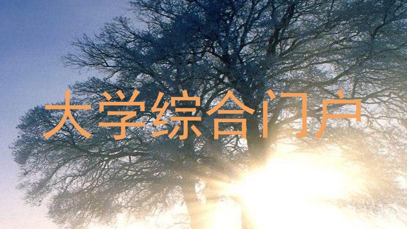 大学综合门户