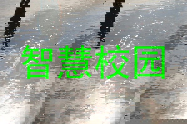 智慧校园