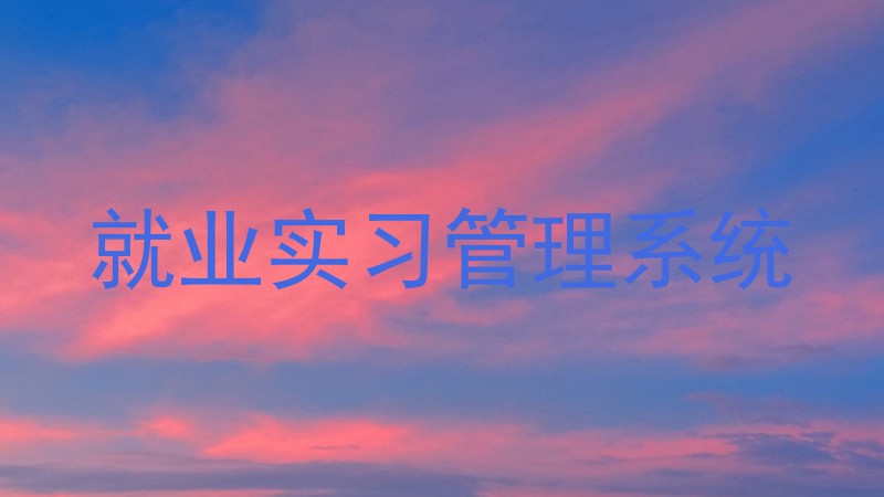 就业实习管理系统
