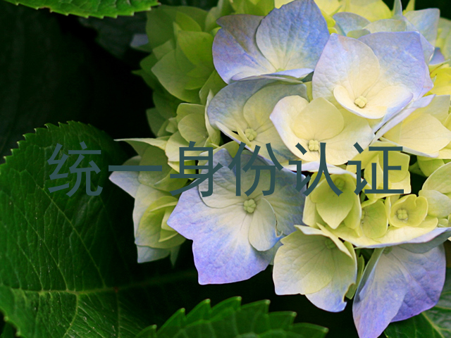 统一身份认证