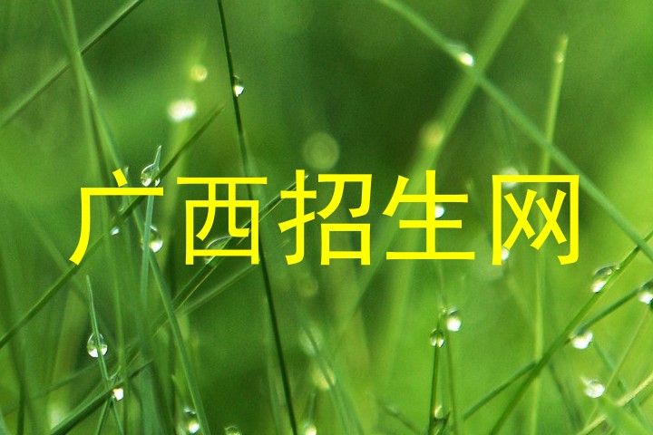 广西招生网