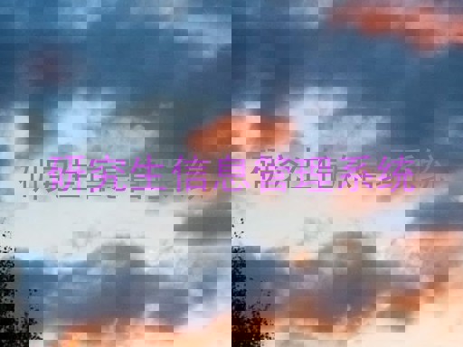 研究生信息管理系统
