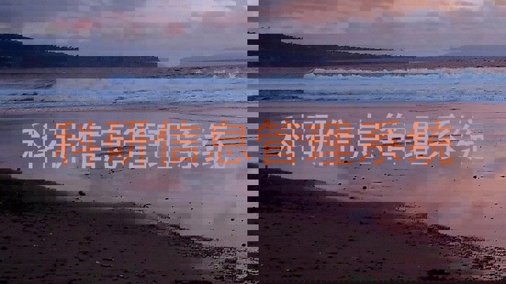 科研信息管理系统