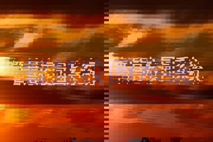 智慧校园系统