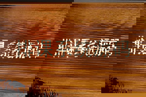 排课系统源码