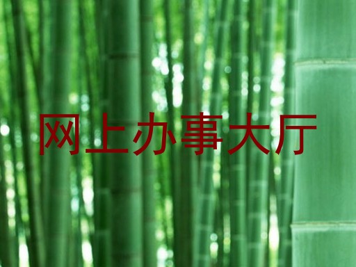 网上办事大厅