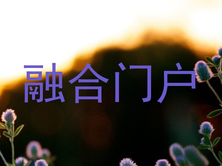 融合门户