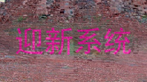 迎新系统