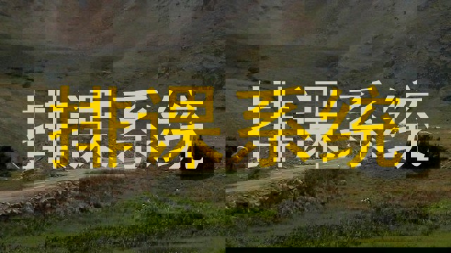 排课系统