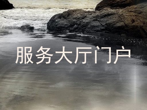 服务大厅门户