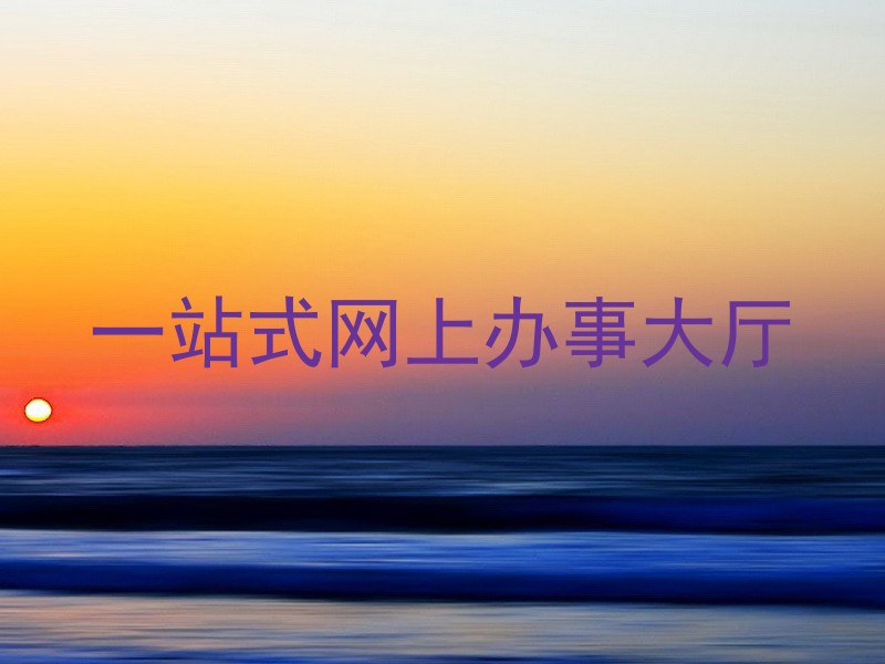 一站式网上办事大厅