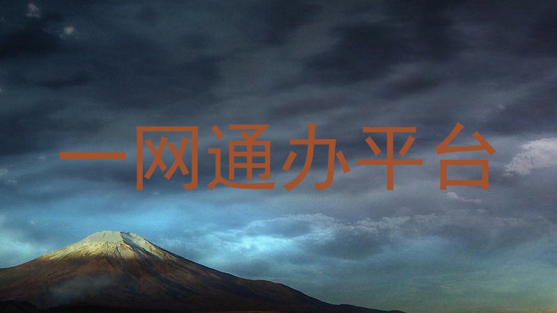 一网通办平台