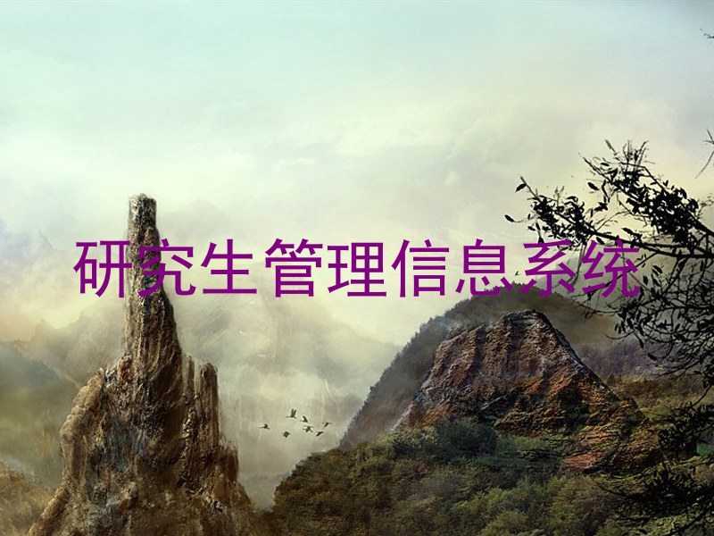 研究生管理信息系统