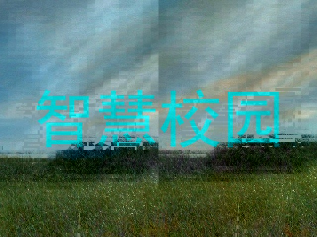 智慧校园