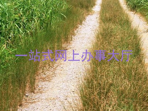 一站式网上办事大厅