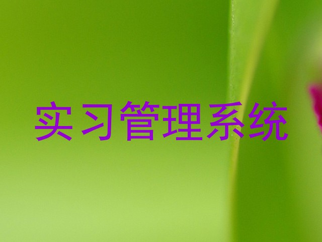 实习管理系统