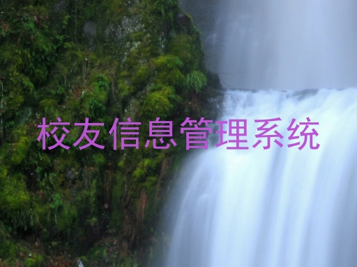 校友信息管理系统