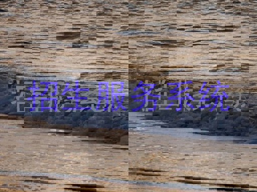 招生服务系统