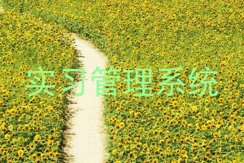 实习管理系统