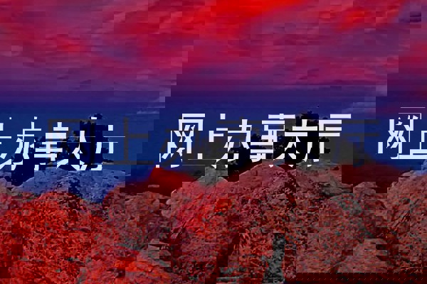 网上办事大厅