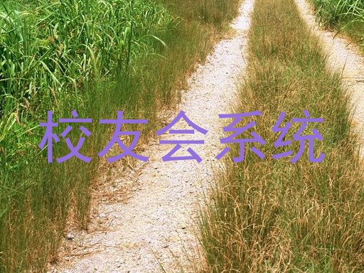 校友会系统