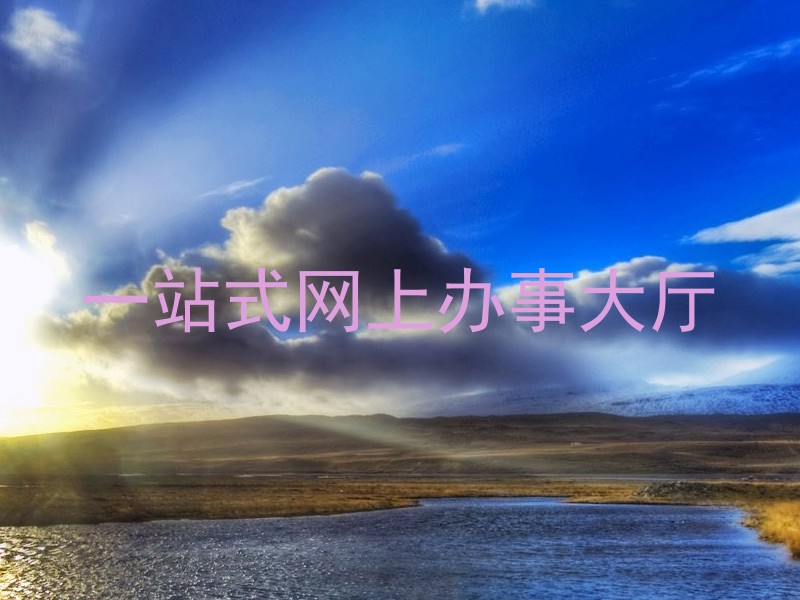 一站式网上办事大厅