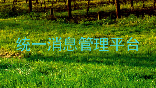 统一消息管理平台