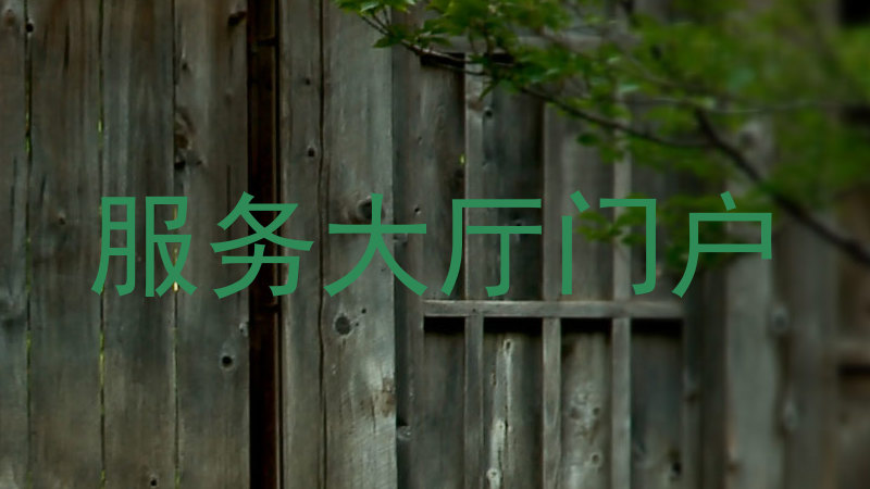 服务大厅门户