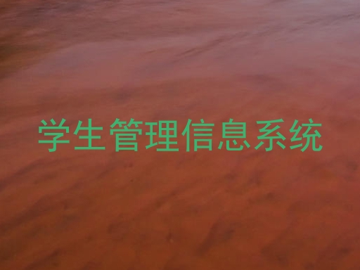 学生管理信息系统