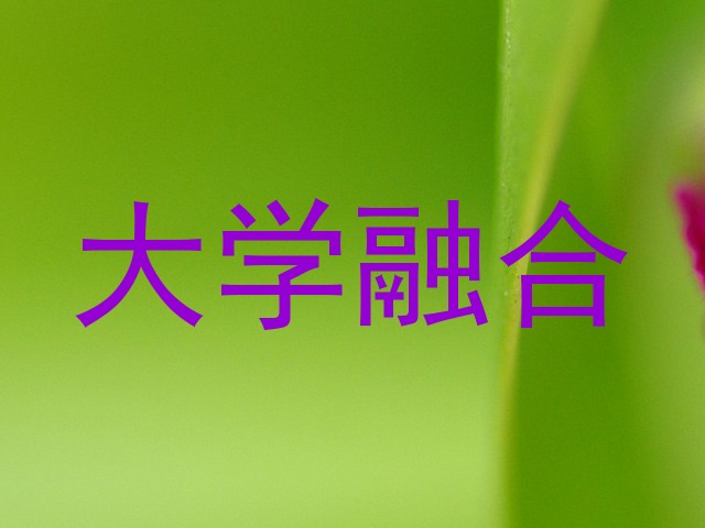 大学融合