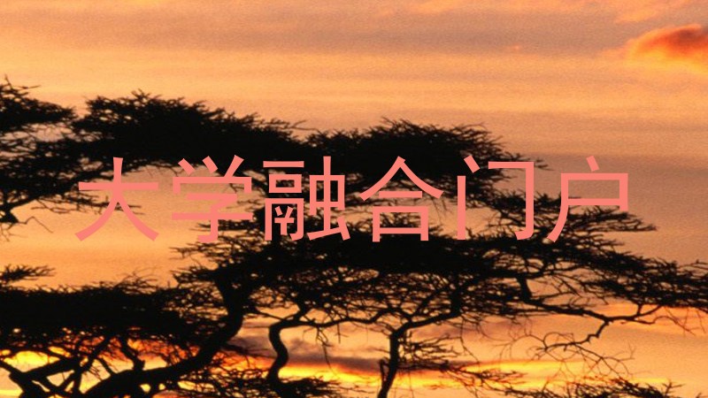 大学融合门户