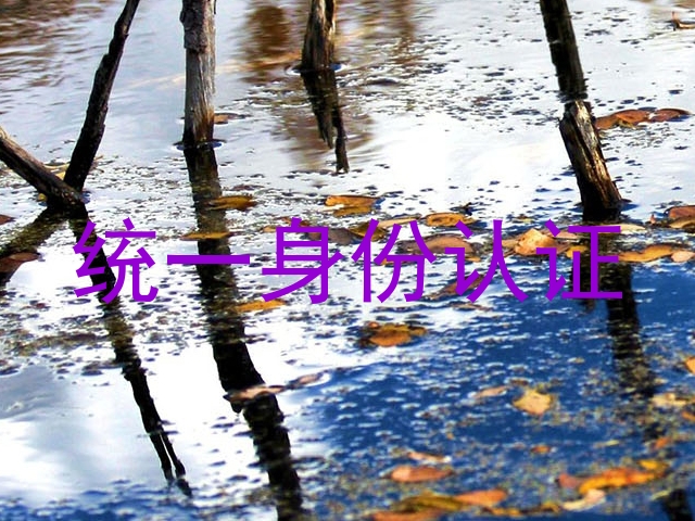 统一身份认证