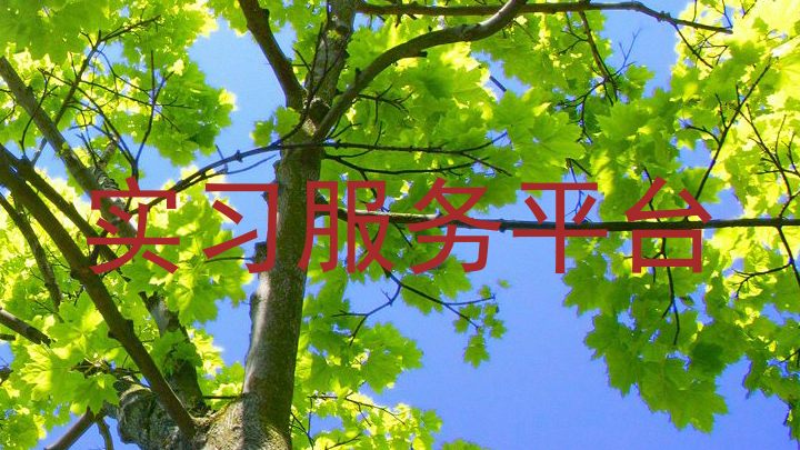 实习服务平台