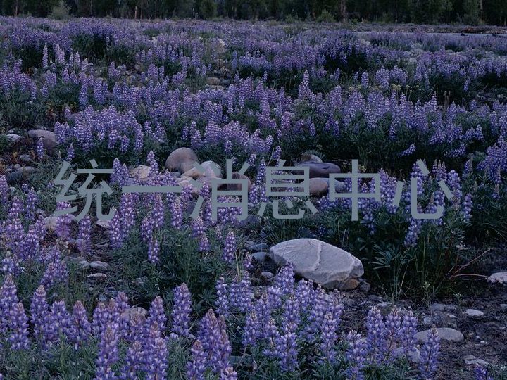 统一消息中心