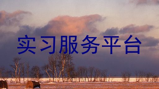 实习服务平台