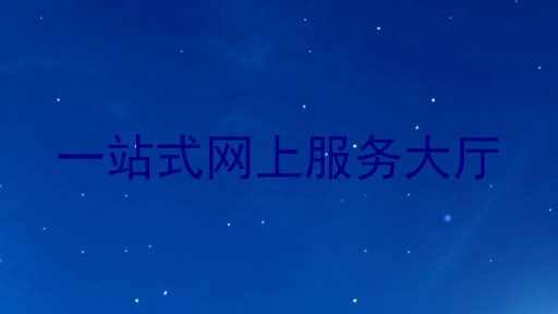 一站式网上服务大厅