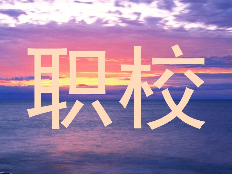 职校