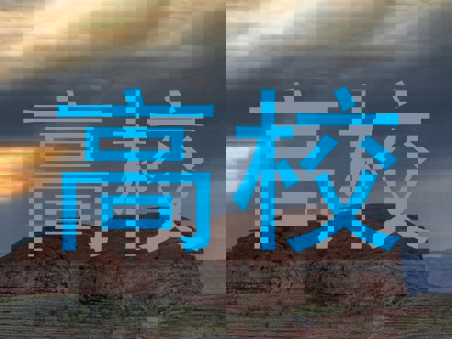 高校