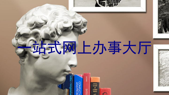 一站式网上办事大厅