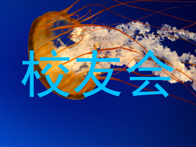 校友会