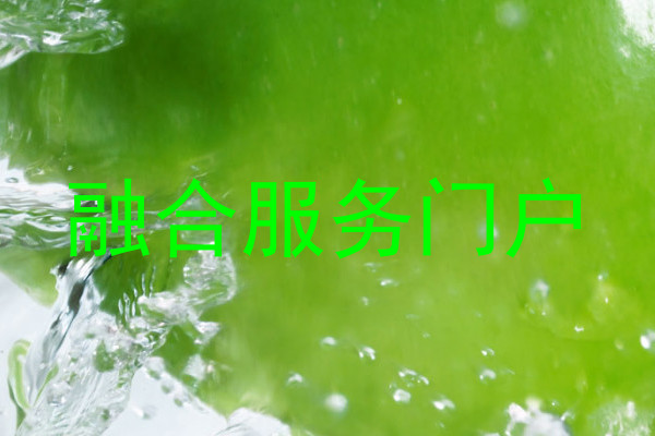 融合服务门户