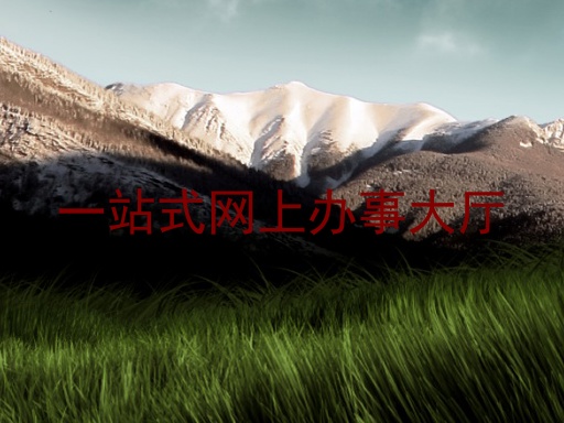 一站式网上办事大厅