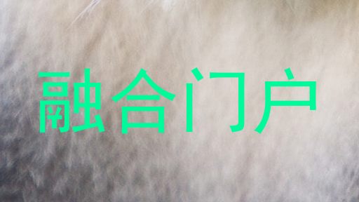 融合门户
