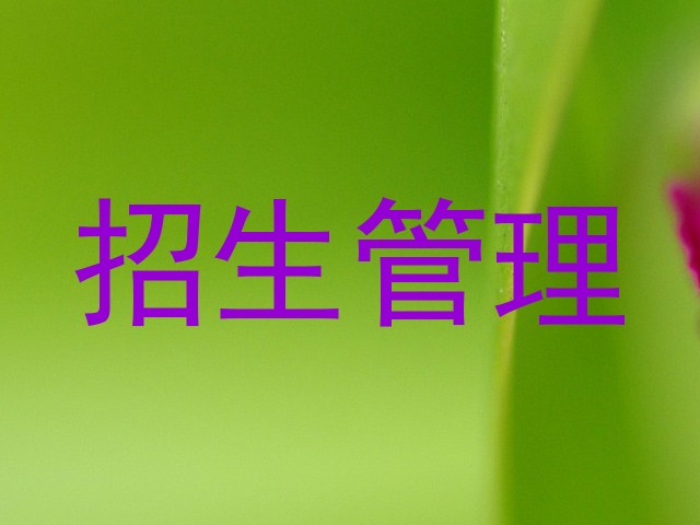 招生管理